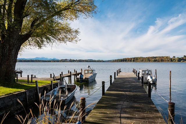 此次日本队 此次日本队