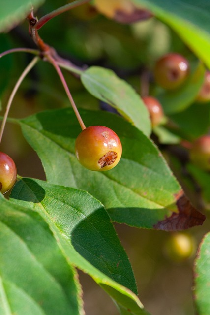 的技战术分 的技战术分