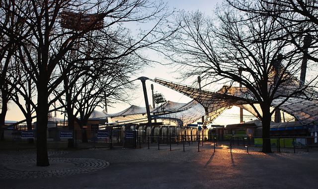 拳脚的心理 拳脚的心理