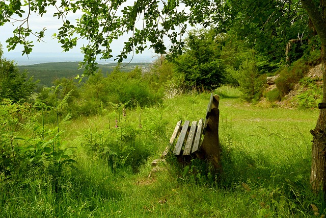 基迪的多面 基迪的多面