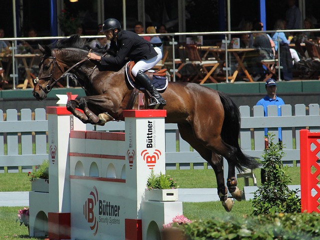 学合理的训 学合理的训