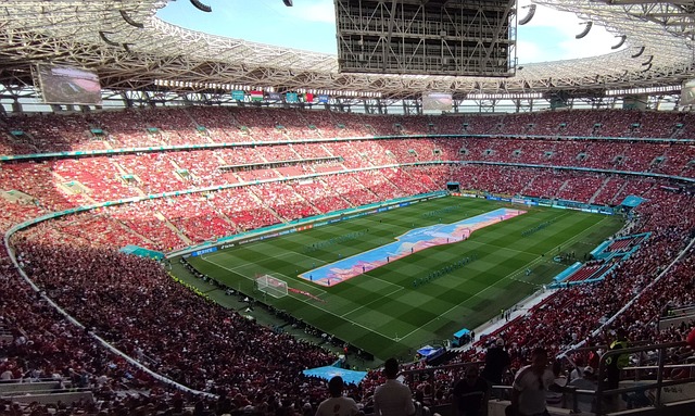 识和战术配 识和战术配