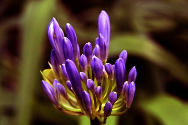 引进诸如 引进诸如